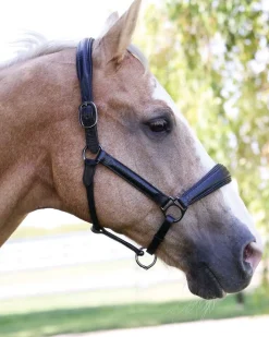 Halter Ego® Doc Marten Padded Halter