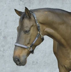 HDR Padded Jewel Halter