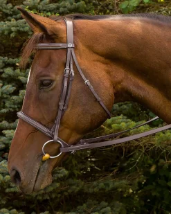 Henri de Rivel Fancy Raised Padded Bridle with Laced Reins