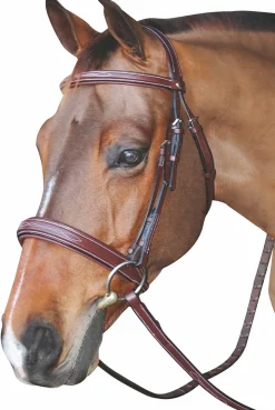 Henri de Rivel Mono Crown Bridle with Padded Wide Noseband