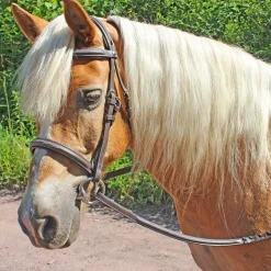 Henri de Rivel Pro Fancy Raised Comfort Crown Padded Bridle with Fancy Raised Reins