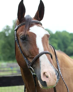 Henri de Rivel Pro Fancy Raised Bridle with Laced Reins