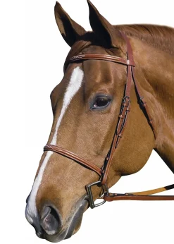 Henri de Rivel Pro Fancy Raised Bridle with Laced Reins
