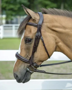 Henri de Rivel Pro Mono Crown Padded Wide Noseband Bridle
