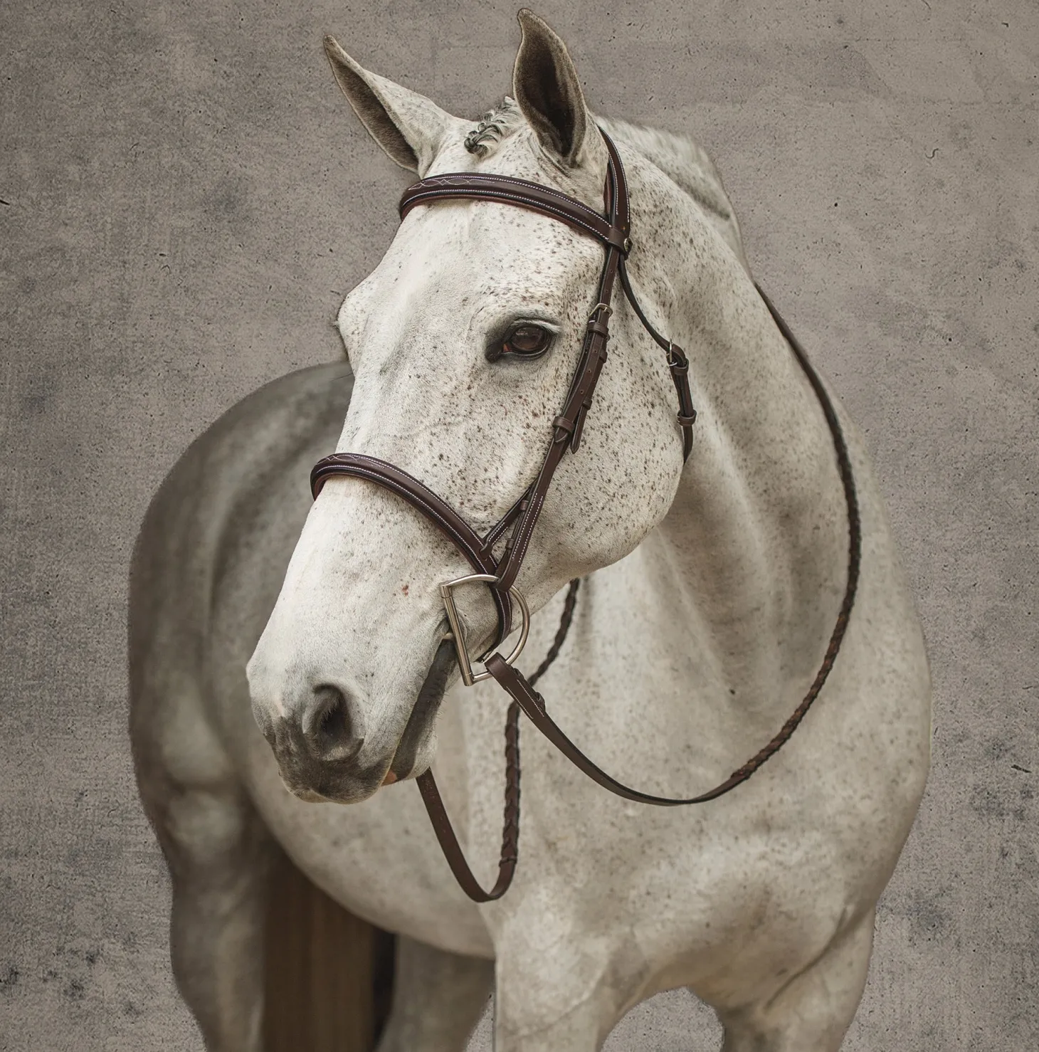 Henri de Rivel Pro Mono Crown Fancy-Stitched Padded Bridle with Laced Reins