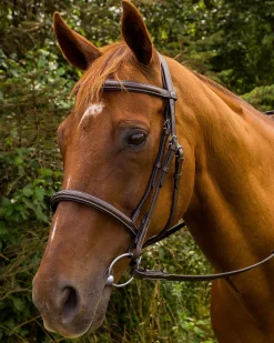 Henri de Rivel Pro Mono Crown Fancy-Stitched Padded Bridle with Laced Reins
