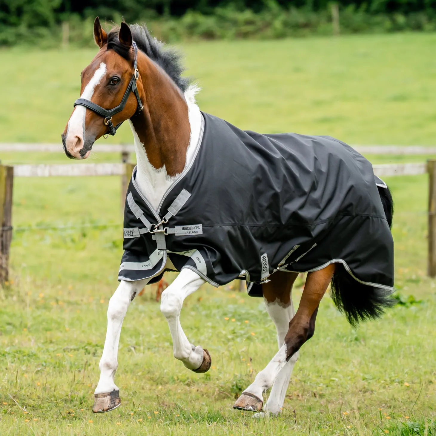 Horseware® Ireland Amigo® 1200D Turnout Standard Neck