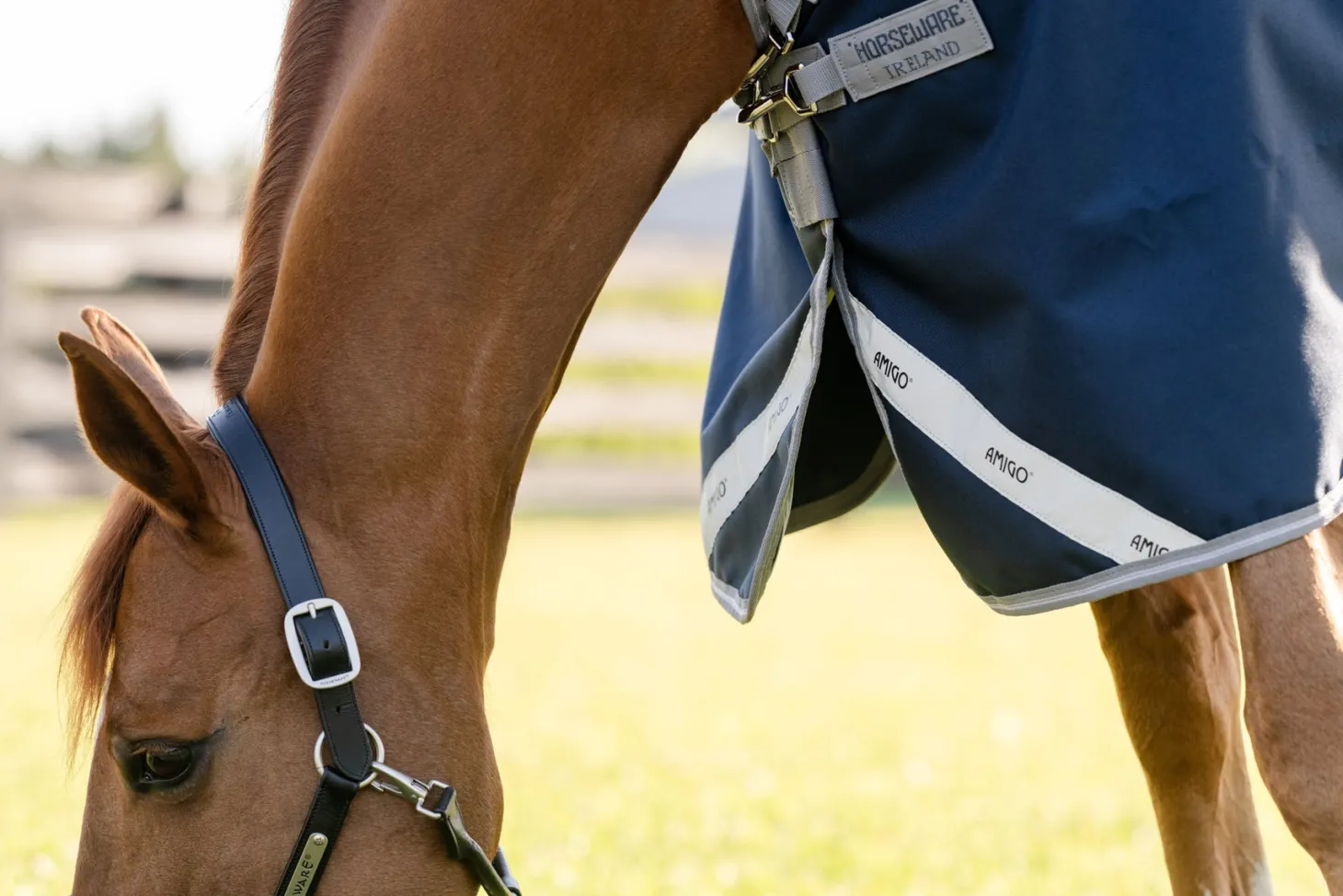 Horseware® Ireland Amigo® 1200D Turnout Standard Neck