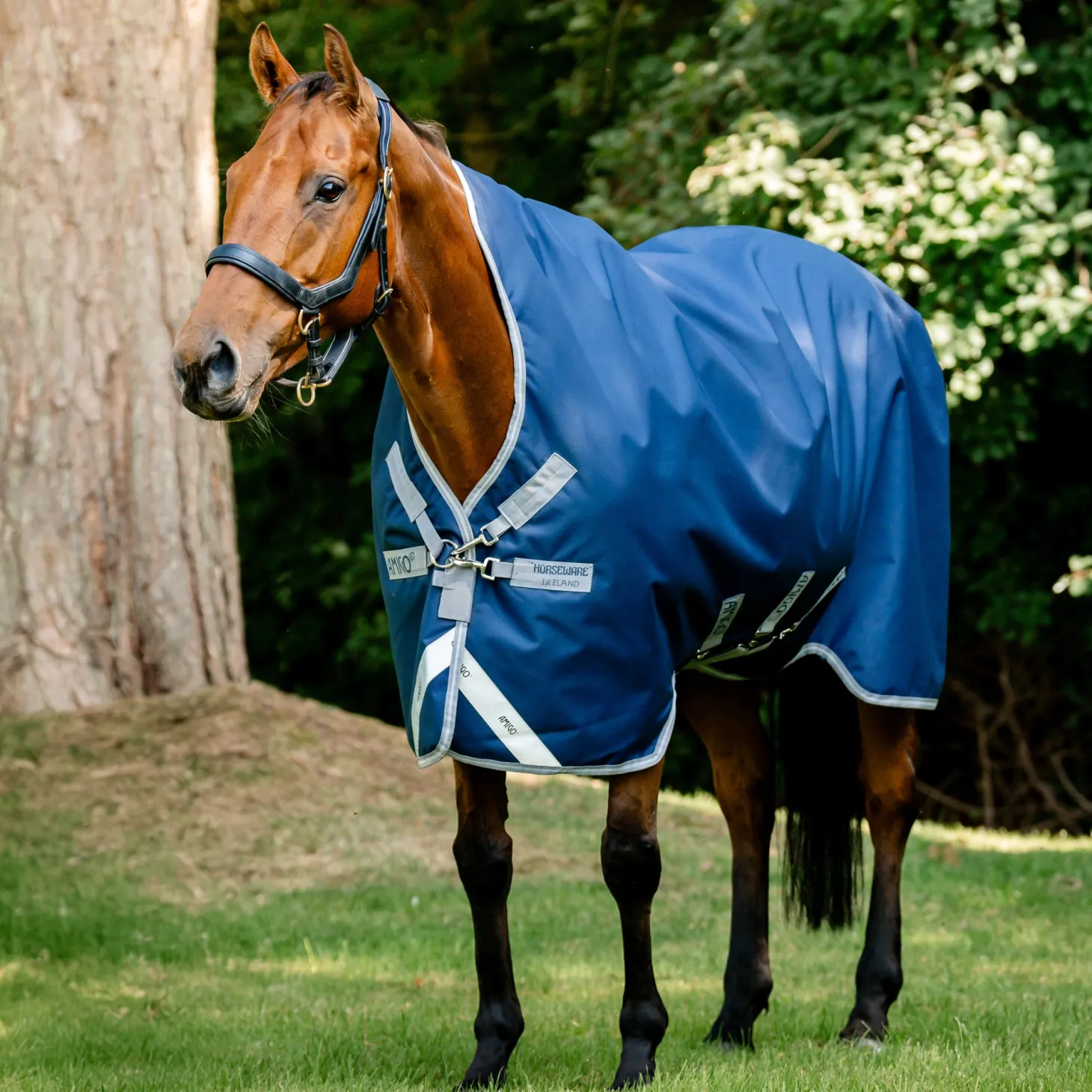 Horseware® Ireland Amigo® 1200D Wug Turnout–250 Grams
