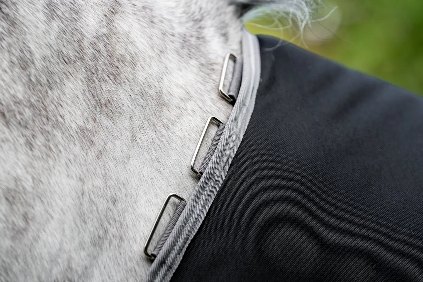 Horseware® Ireland Amigo® 1200D Plus Turnout