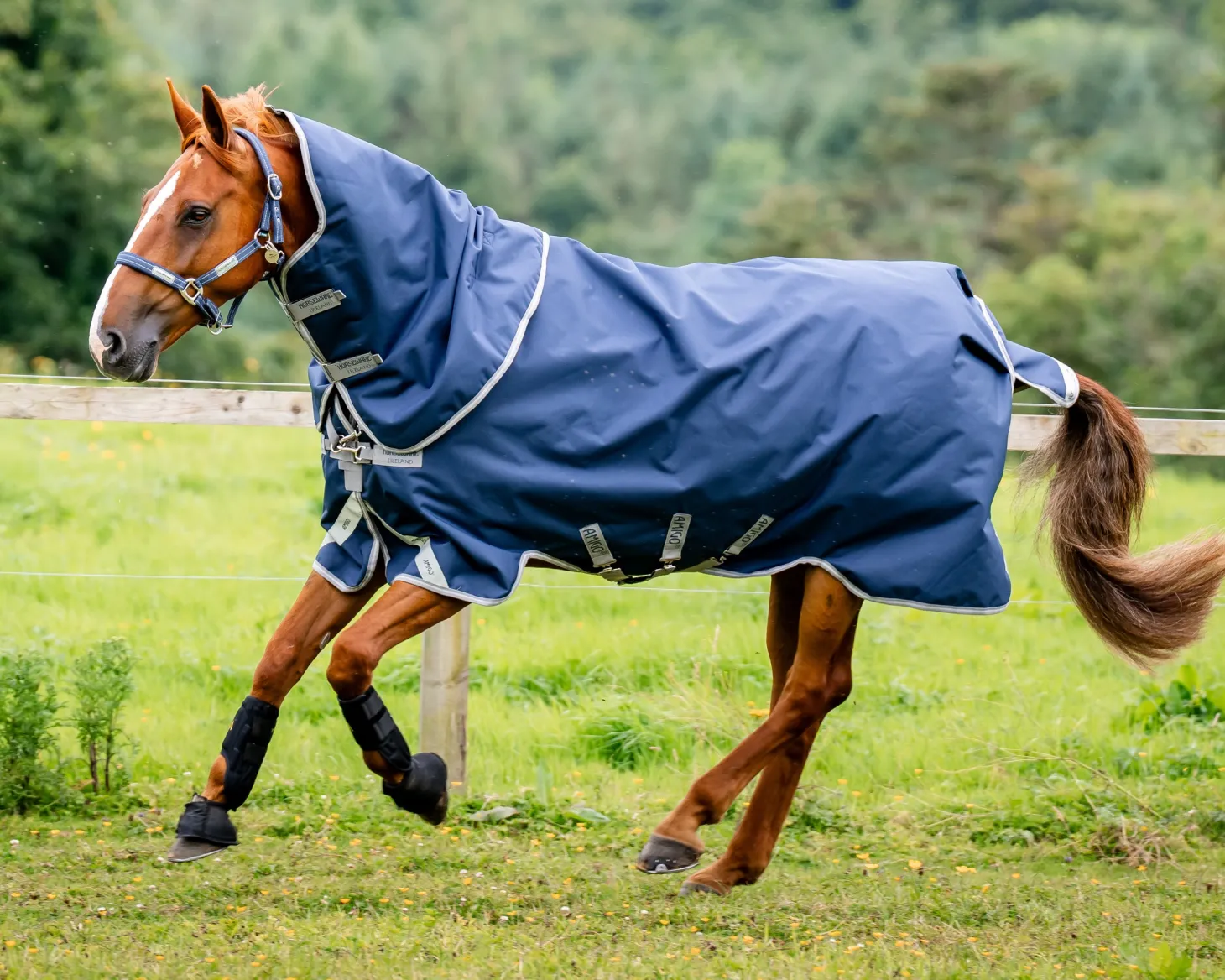 Horseware® Ireland Amigo® 1200D Plus Turnout