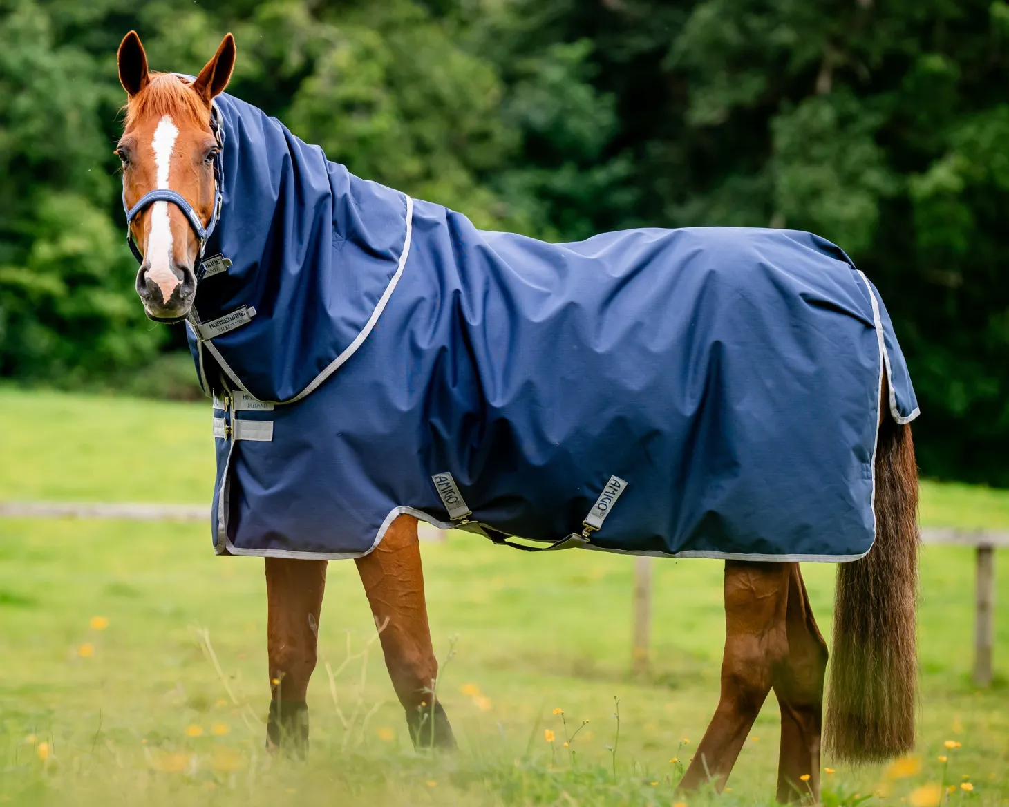 Horseware® Ireland Amigo® 900D Ripstop Plus Turnout-100-Grams