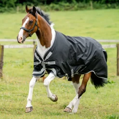 Horseware® Ireland Amigo® 1200D Turnout Sheet Standard Neck