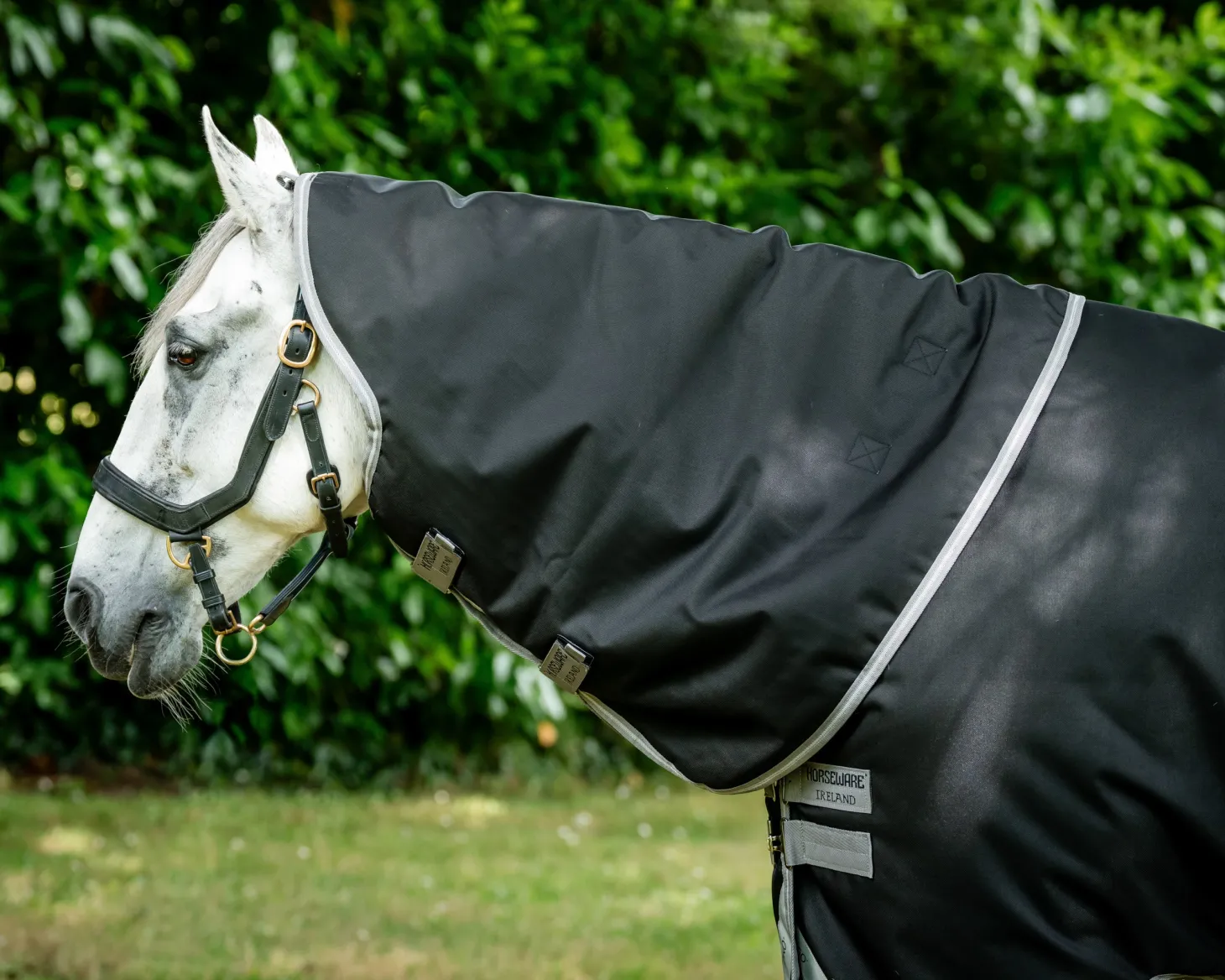 Horseware® Ireland Amigo® 1200D Plus Turnout 250 Gram