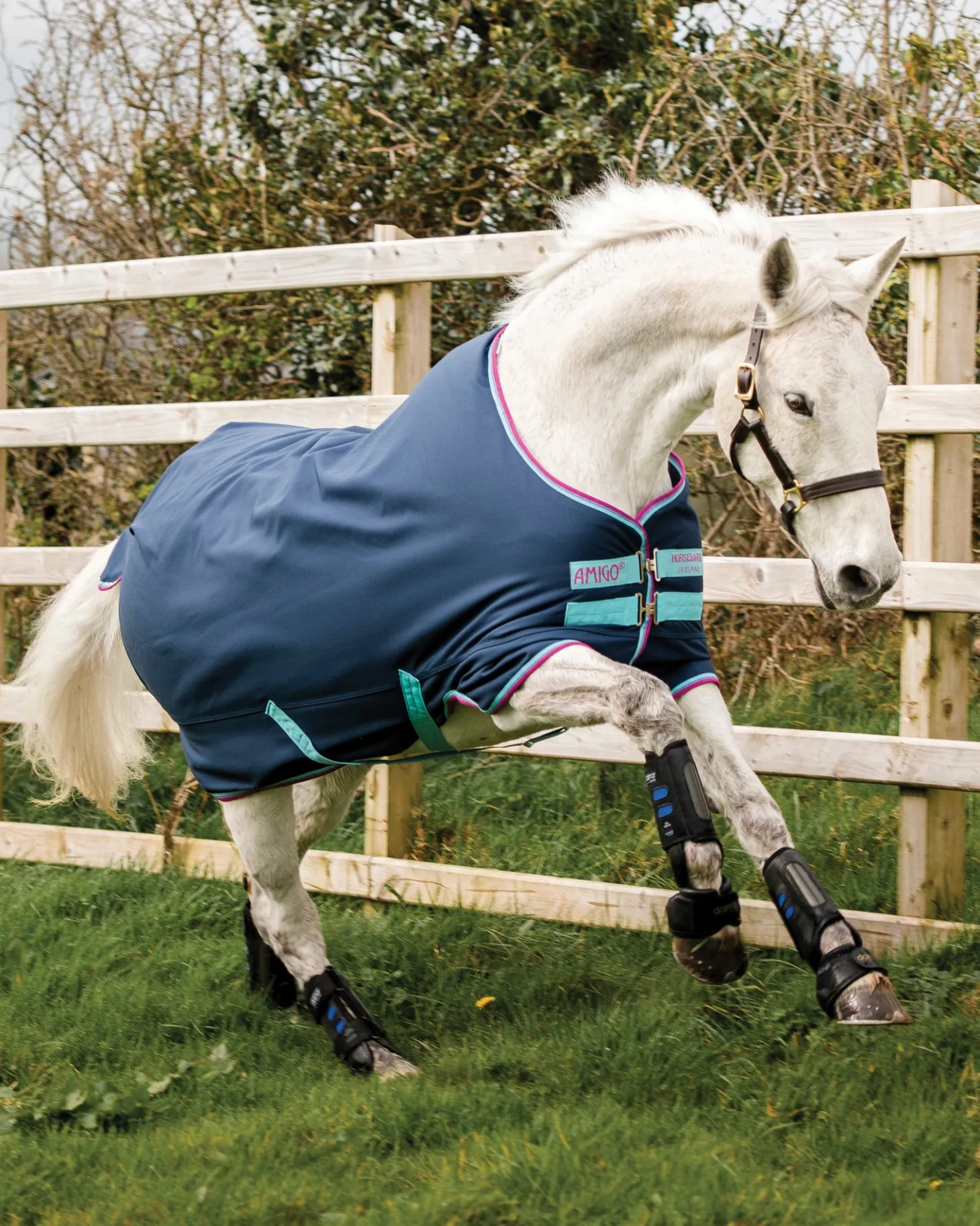 Horseware® Ireland Amigo® Pony Hero 900D Medium-Weight Turnout Blanket