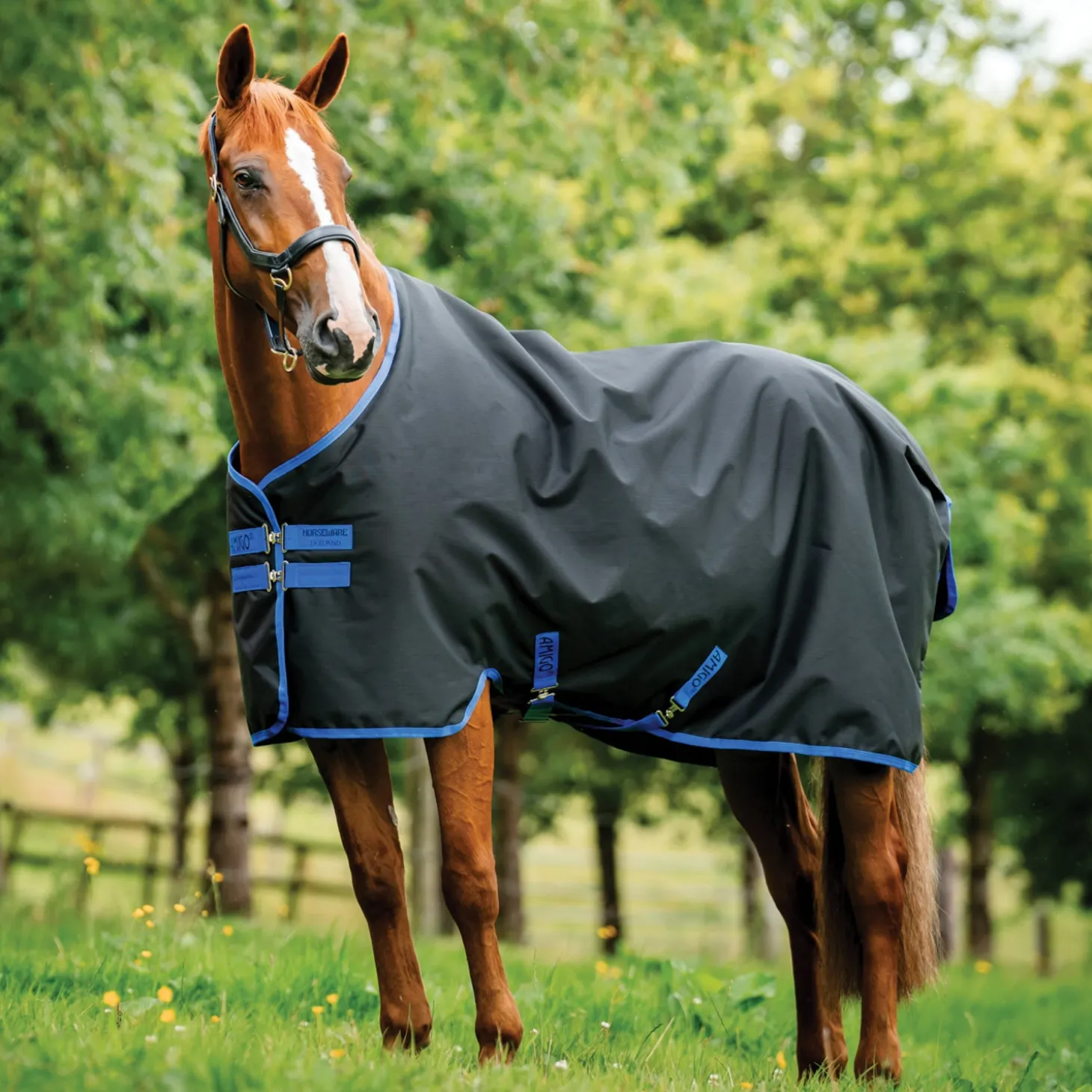 Horseware® Ireland Amigo® Ripstop 900D 200 Gram Standard Neck Turnout