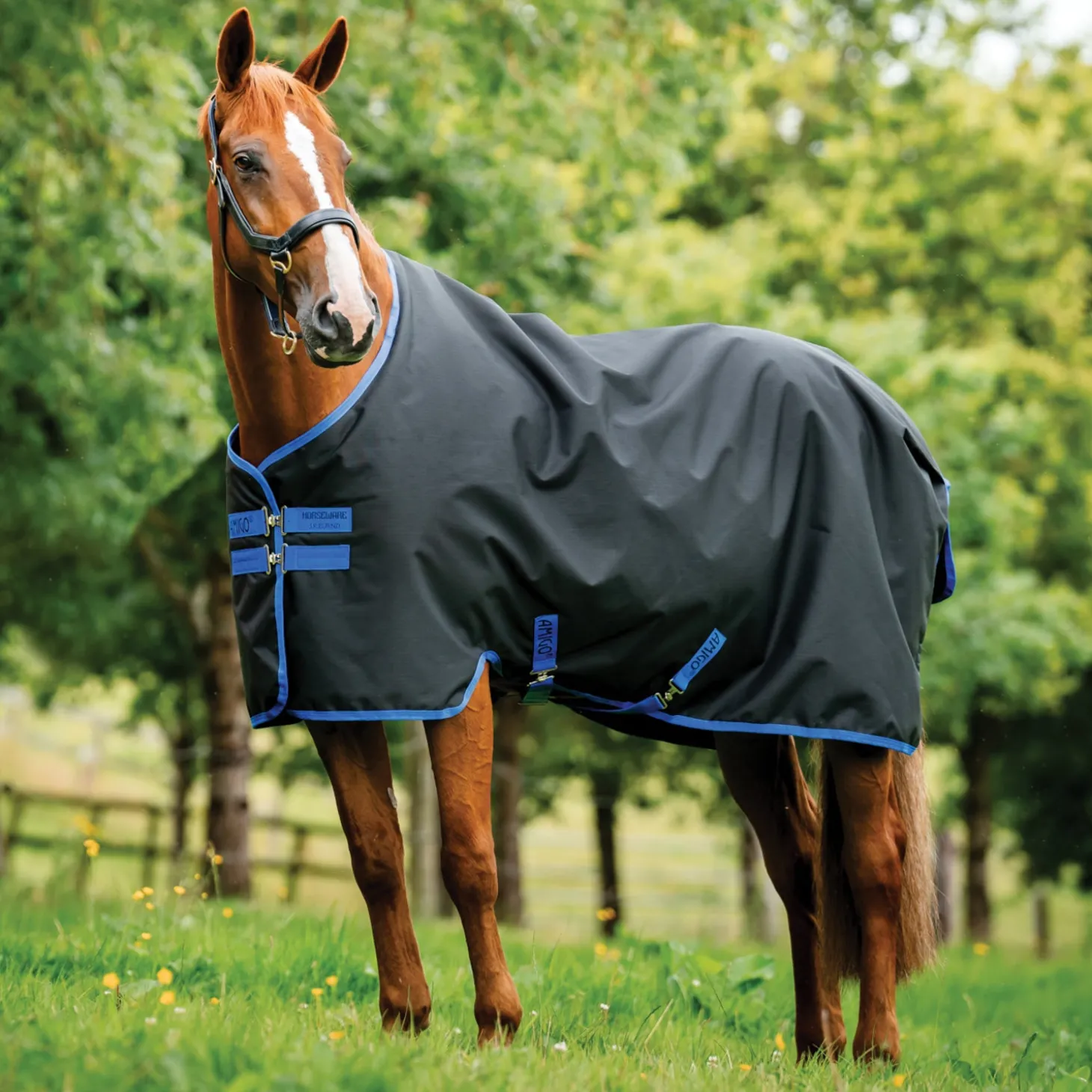 Horseware® Ireland Amigo® Ripstop 900D 100 Gram Standard Neck Turnout