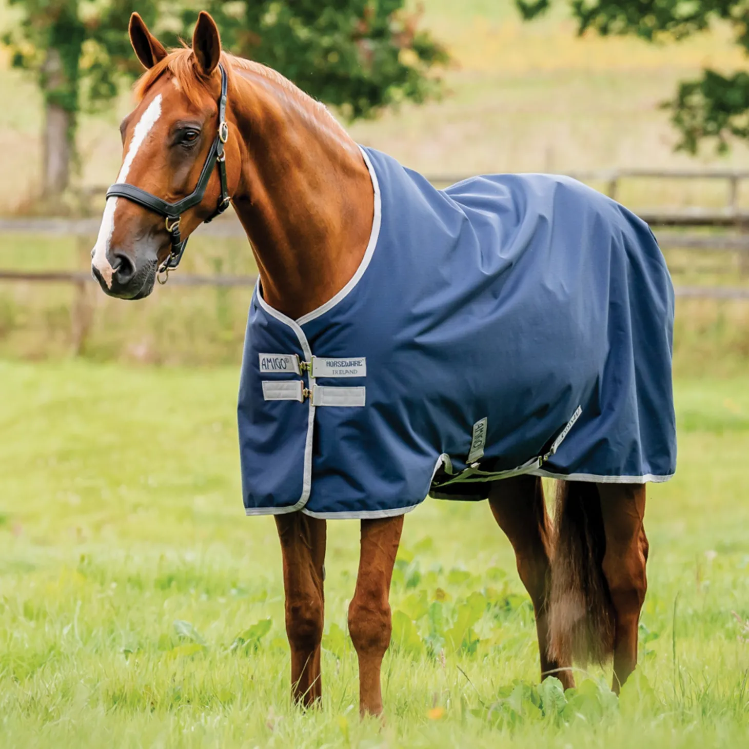 Horseware® Ireland Amigo® Ripstop 900D 100 Gram Standard Neck Turnout