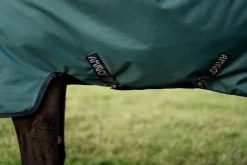 Horseware® Ireland Amigo® Ripstop 900D 200 Gram Standard Neck Turnout–Seasonal Color