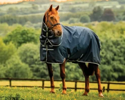 Horseware® Ireland Amigo® Ripstop 900D Plus Pony Turnout Sheet