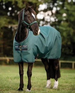 Horseware® Ireland Amigo® Ripstop 900D 100 Gram Standard Neck Turnout