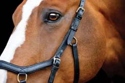 Horseware® Ireland Micklem2 Competition Bridle with Reins
