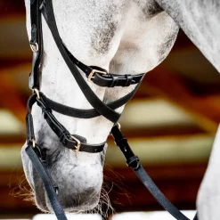 Horseware® Ireland Micklem2 Multibridle USA with Reins