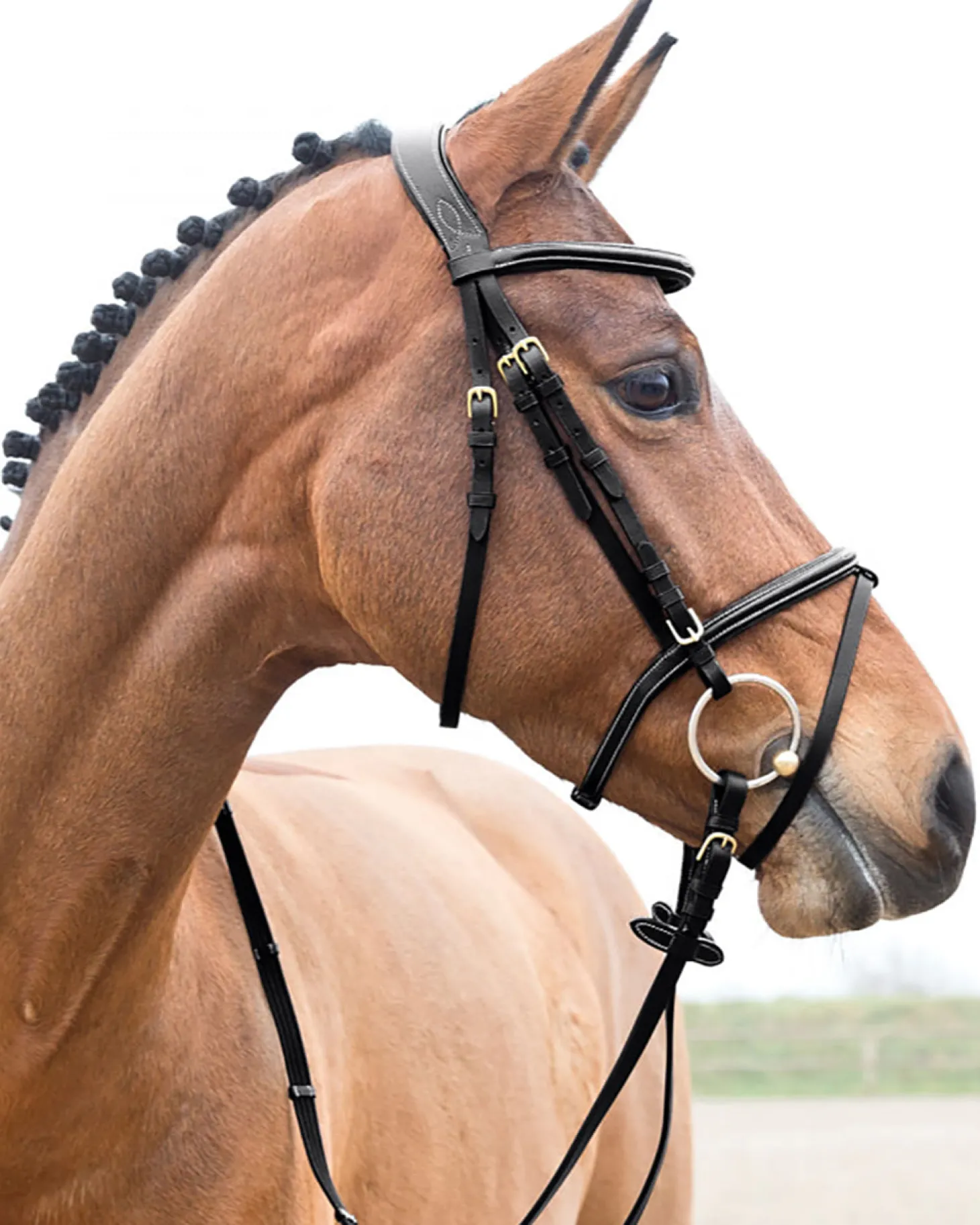 Horze Constance Padded Flash Snaffle Bridle