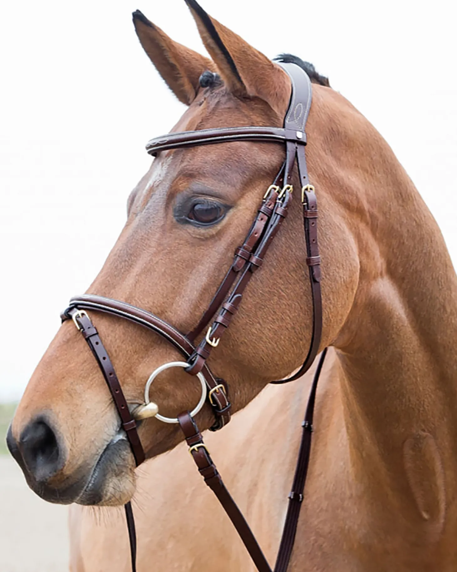 Horze Constance Padded Flash Snaffle Bridle