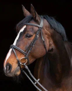 Horze Constance Padded Flash Snaffle Bridle