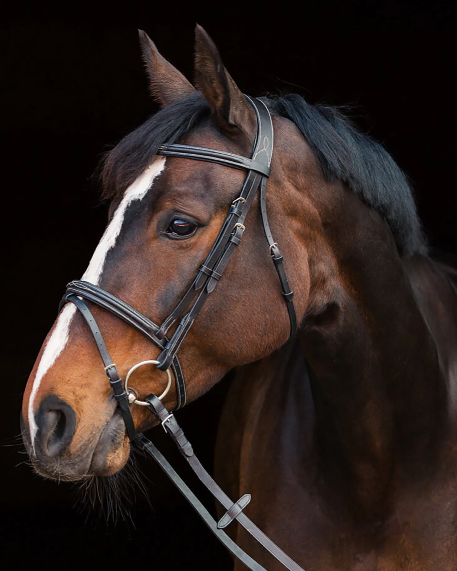 Horze Constance Padded Flash Snaffle Bridle