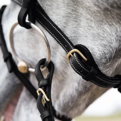 Horze Constance Padded Flash Snaffle Bridle