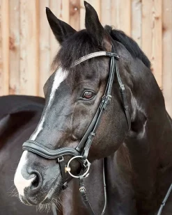 Horze Highbury Anatomical Crystal Dressage Bridle