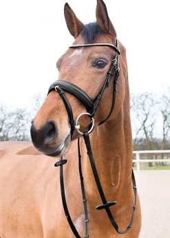 Horze Lester Snaffle Bridle