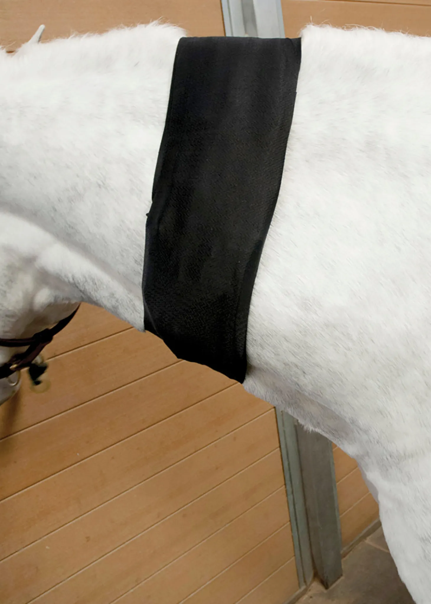 Ice Horse® All-Purpose Wrap