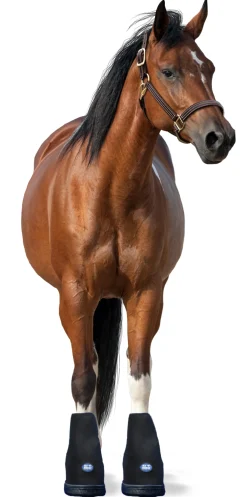 Ice Horse® Hoof Boot - Pair