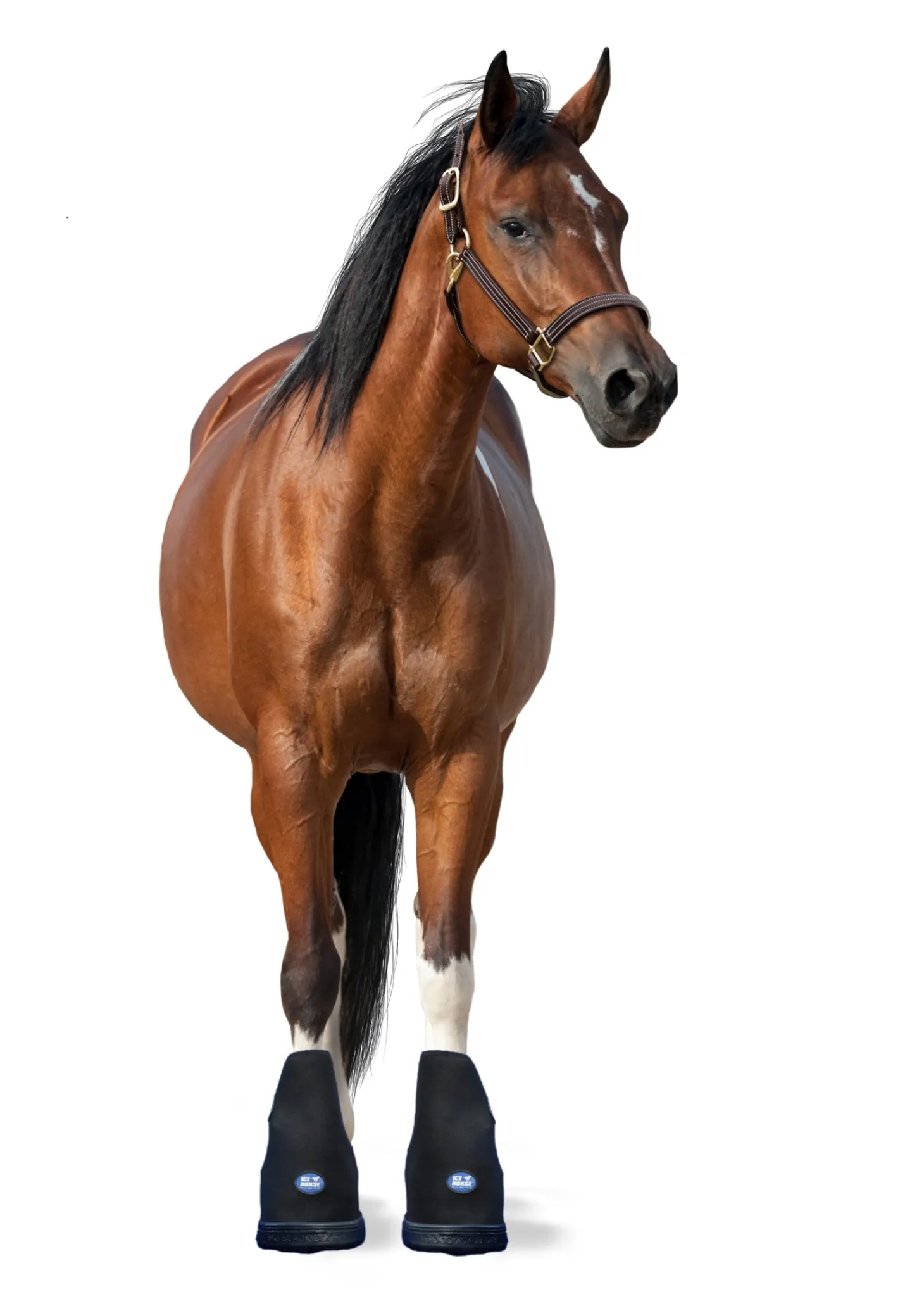 Ice Horse® Large Laminitis Pro Boot