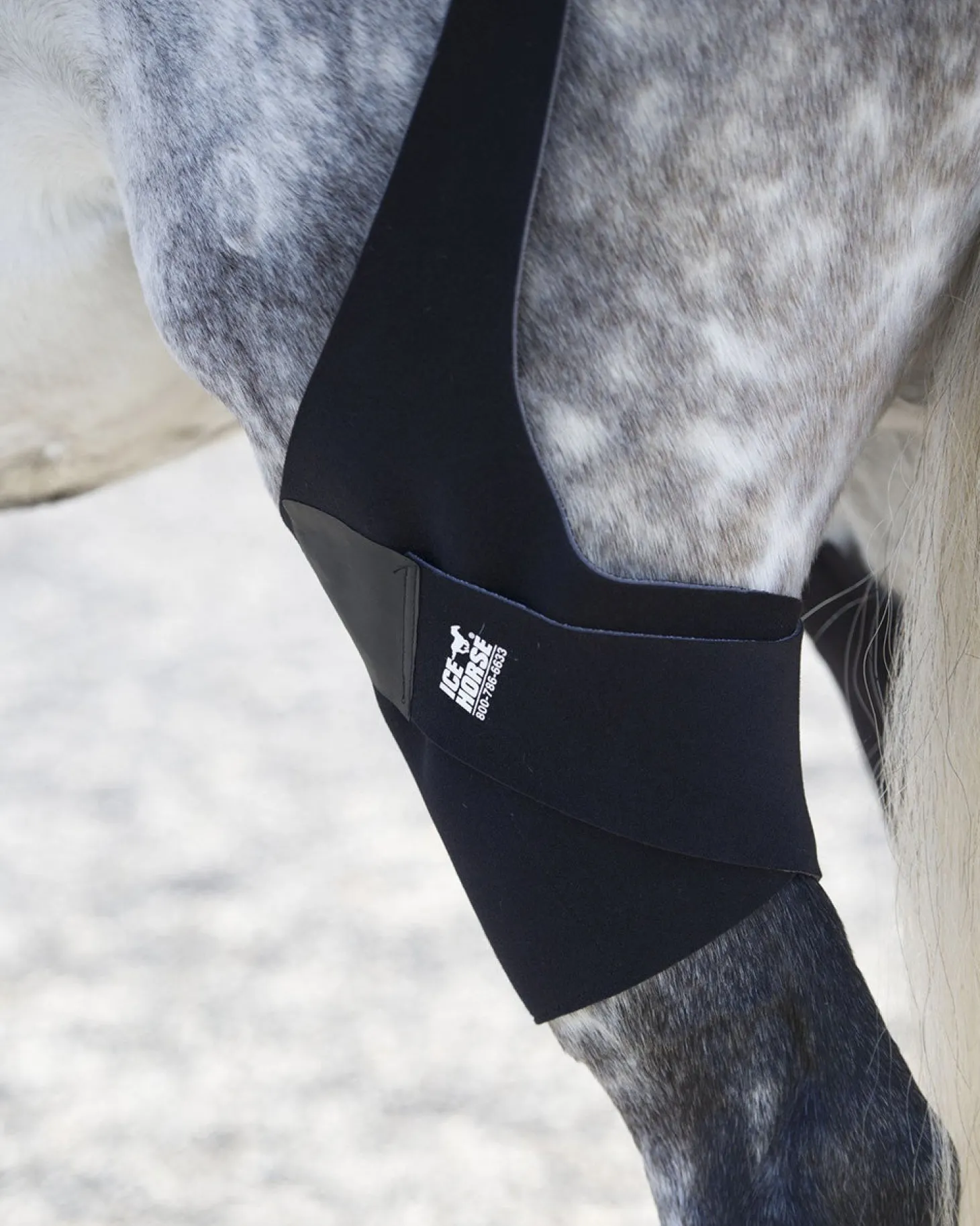 Ice Horse® Pony Stifle Wraps – Pair