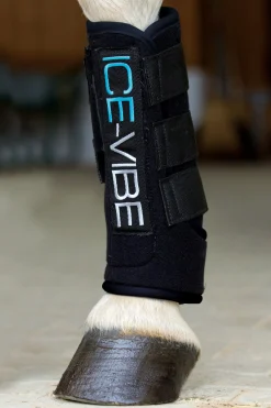 ICE-VIBE Boots