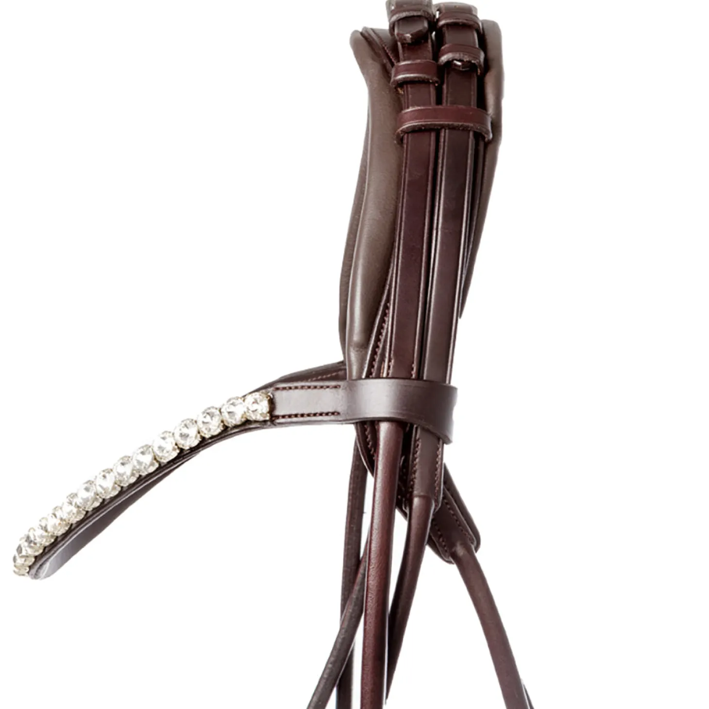 Kavalkade Florina Bridle