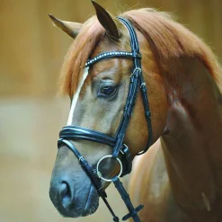 Kavalkade Isabella Drop Nose Bridle