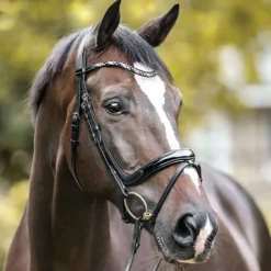 Kavalkade Ivana Snaffle Bridle