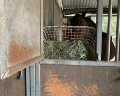 Kensington™ Freedom Feeder Adjustable Frame