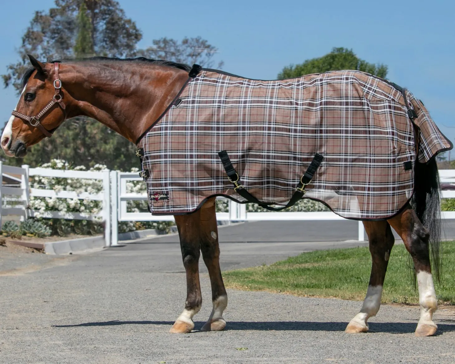 Kensington™ Pony Protective Sheet SureFit®
