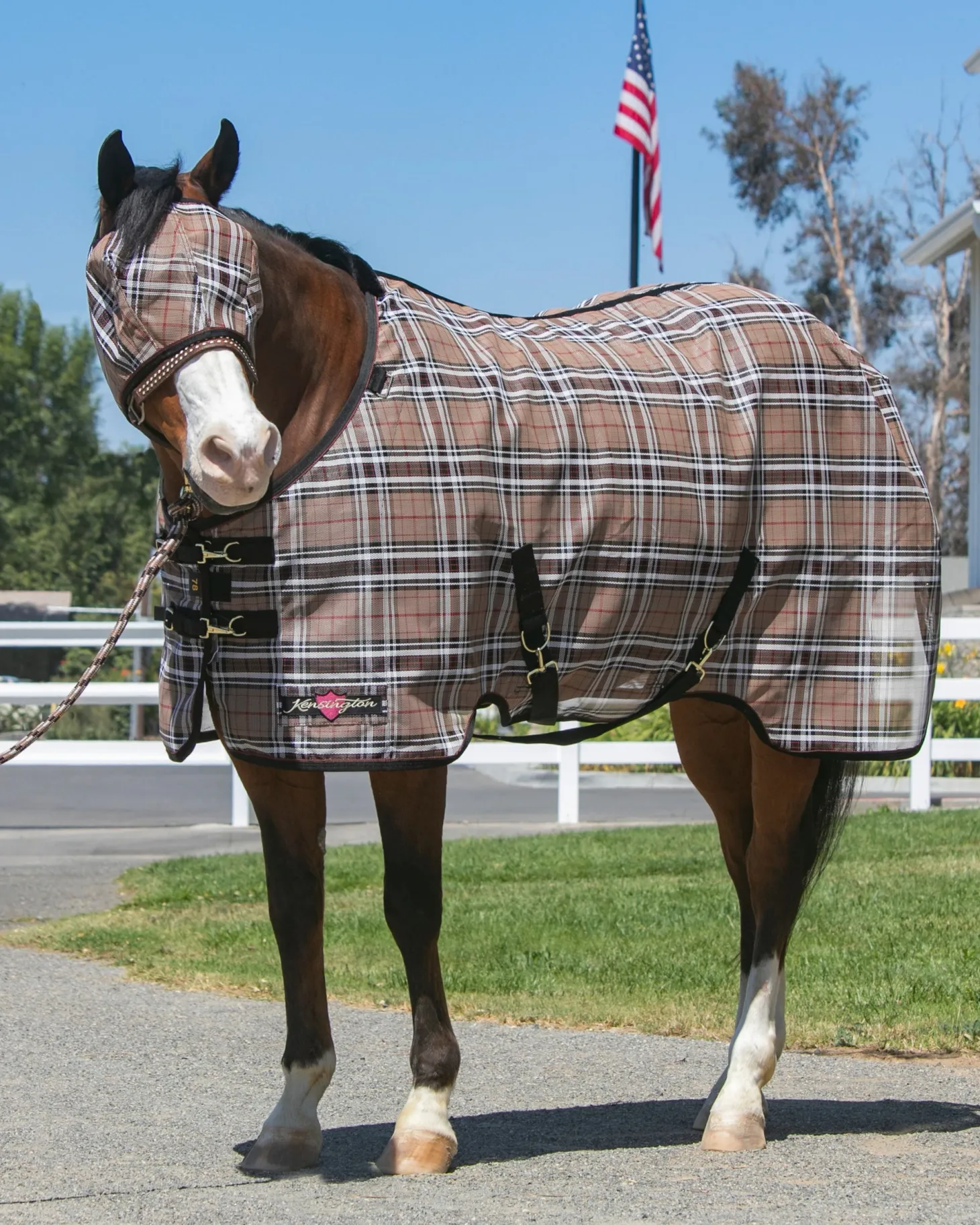 Kensington™ Pony Protective Sheet SureFit®