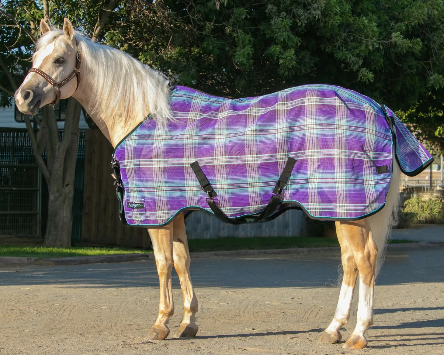 Kensington™ Pony Protective Sheet SureFit®