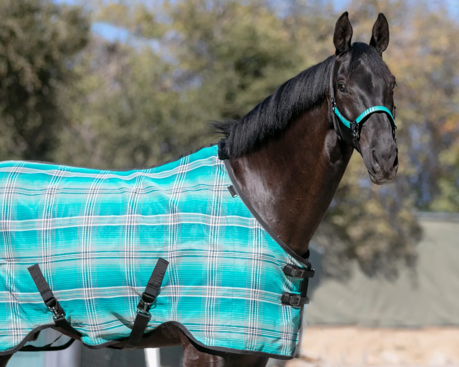 Kensington™ Pony Protective Sheet SureFit®