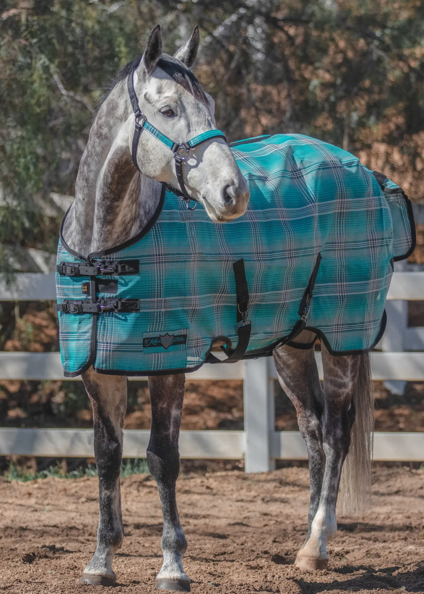 Kensington™ Pony Protective Sheet SureFit®