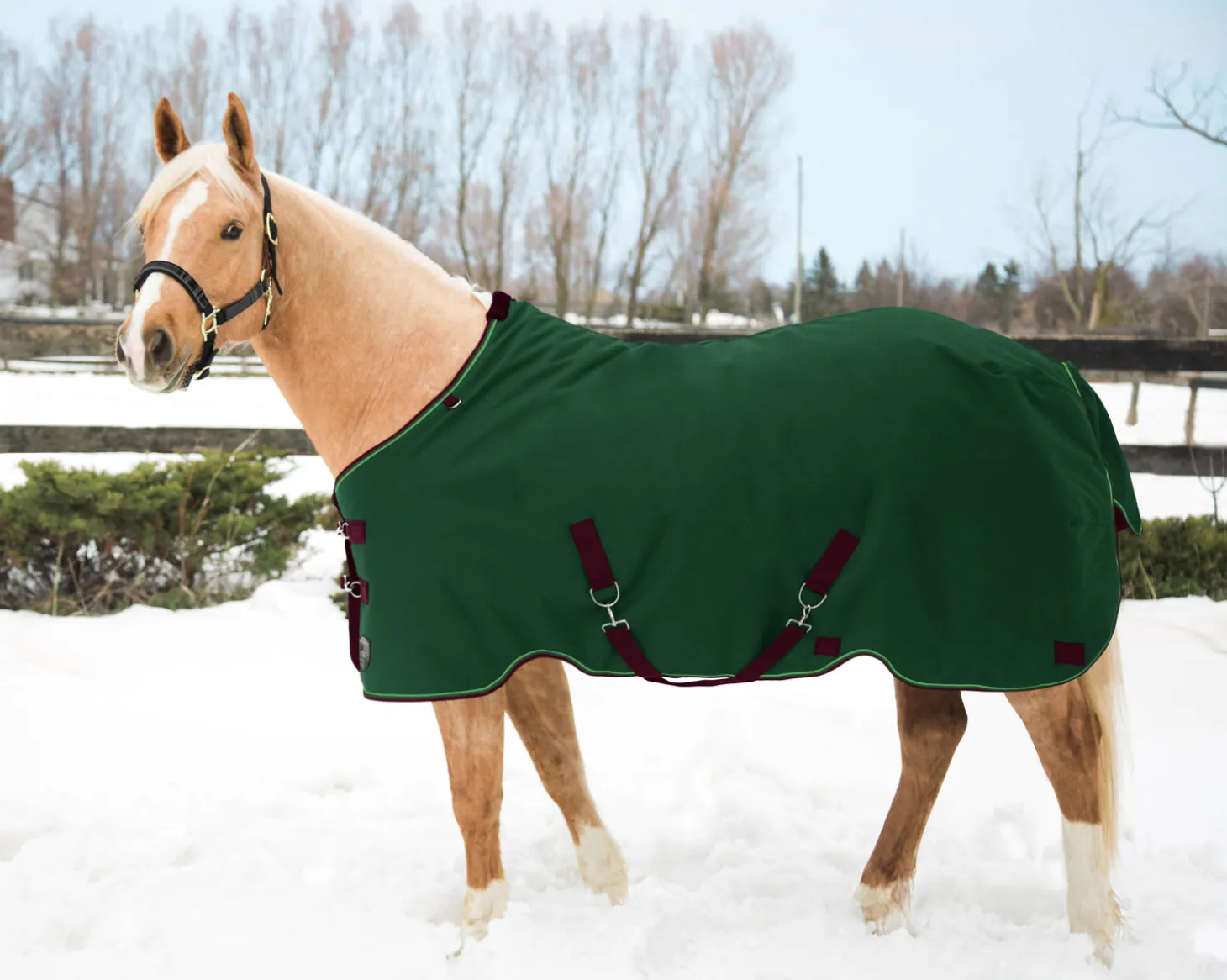 Kensington™ Pony Signature Medium Weight Turnout Blanket