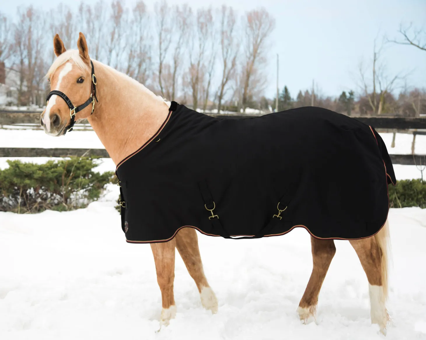 Kensington™ Pony Signature Medium Weight Turnout Blanket